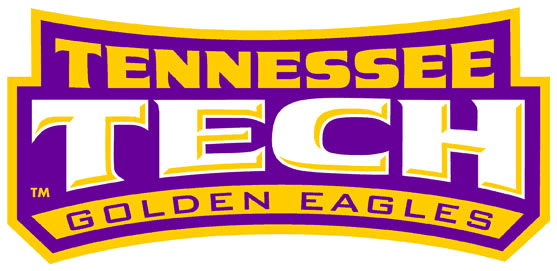Tennessee Tech Golden Eagles 2006-Pres Wordmark Logo iron on transfers for clothing
